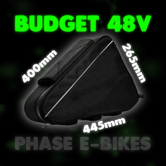 48V Budget E-Bike Battery