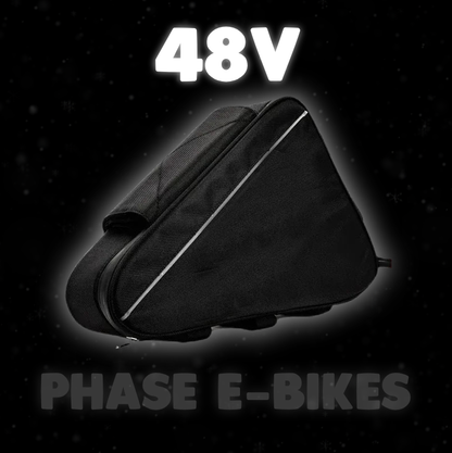 48v Premium E-Bike Battery