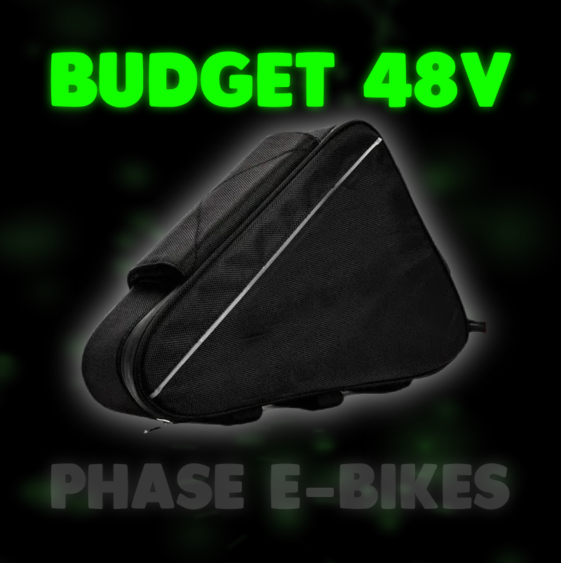 48V Budget E-Bike Battery